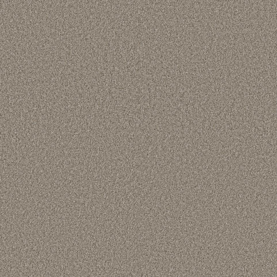 Risotto Swatch
