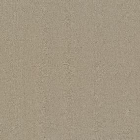 Congaree Premiere II Tonal - Neutral Ground Swatch