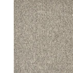 Silver Zoomed Swatch