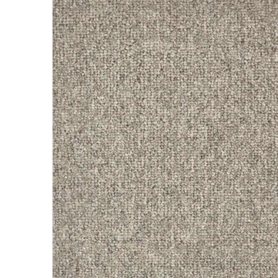 Silver Zoomed Swatch