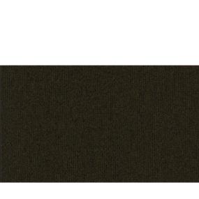 Established Zoomed Swatch