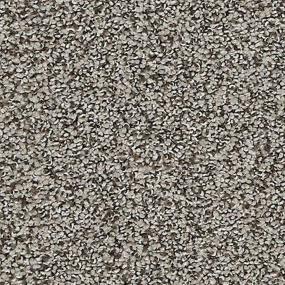 Rockport Zoomed Swatch