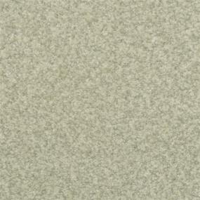 Chromatic Touch - Balsam Swatch