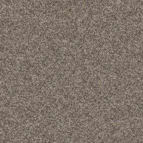 Earth Trail Zoomed Swatch