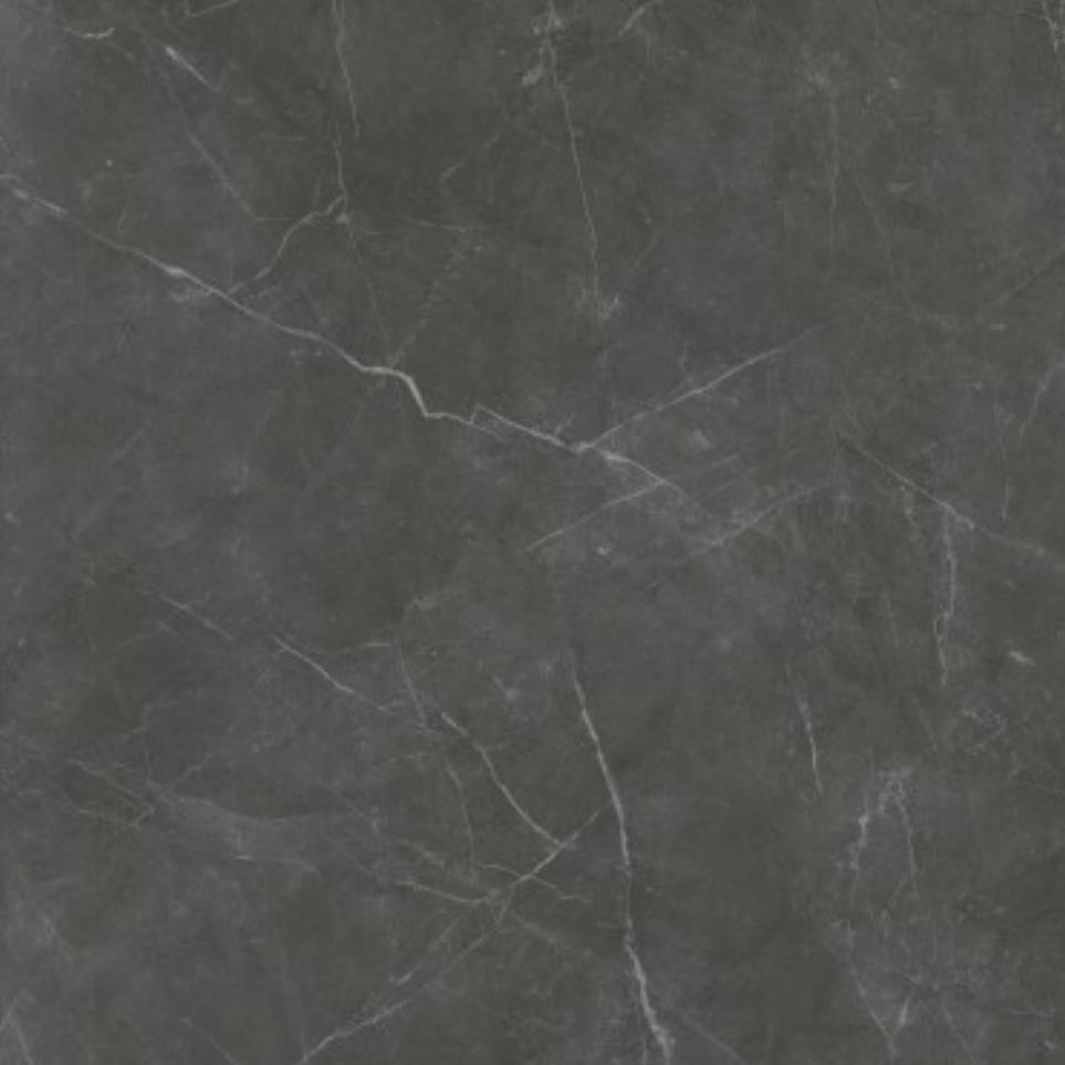 Asphalt Zoomed Swatch