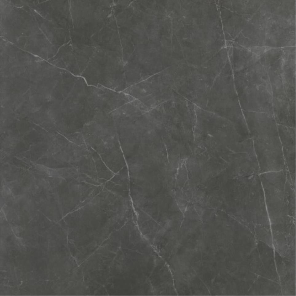 Sterlina II Matte 24X24 by Emser Tile, LLC - Asphalt