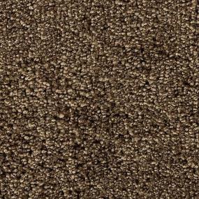 Intriguing Allure - Brushwood Swatch