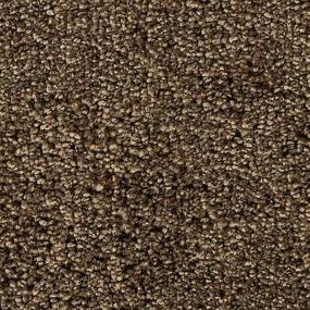 Brushwood Zoomed Swatch