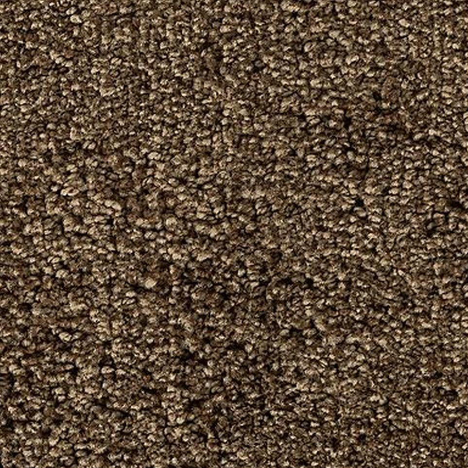 Brushwood Zoomed Swatch