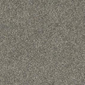 Director Zoomed Swatch