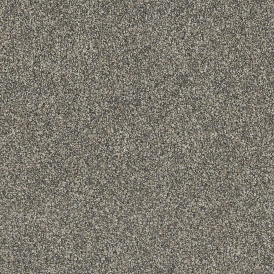 Director Zoomed Swatch