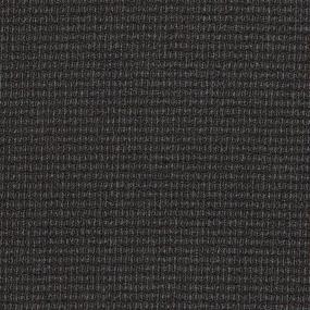 Seasonable - Welcome Swatch