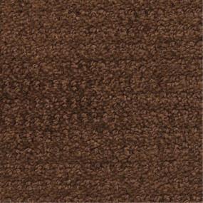 Swiss Mocha Swatch Thumbnail
