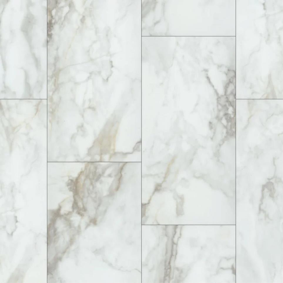 Paragon Tile Plus