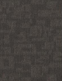 ANATOMY TL - Structure Swatch