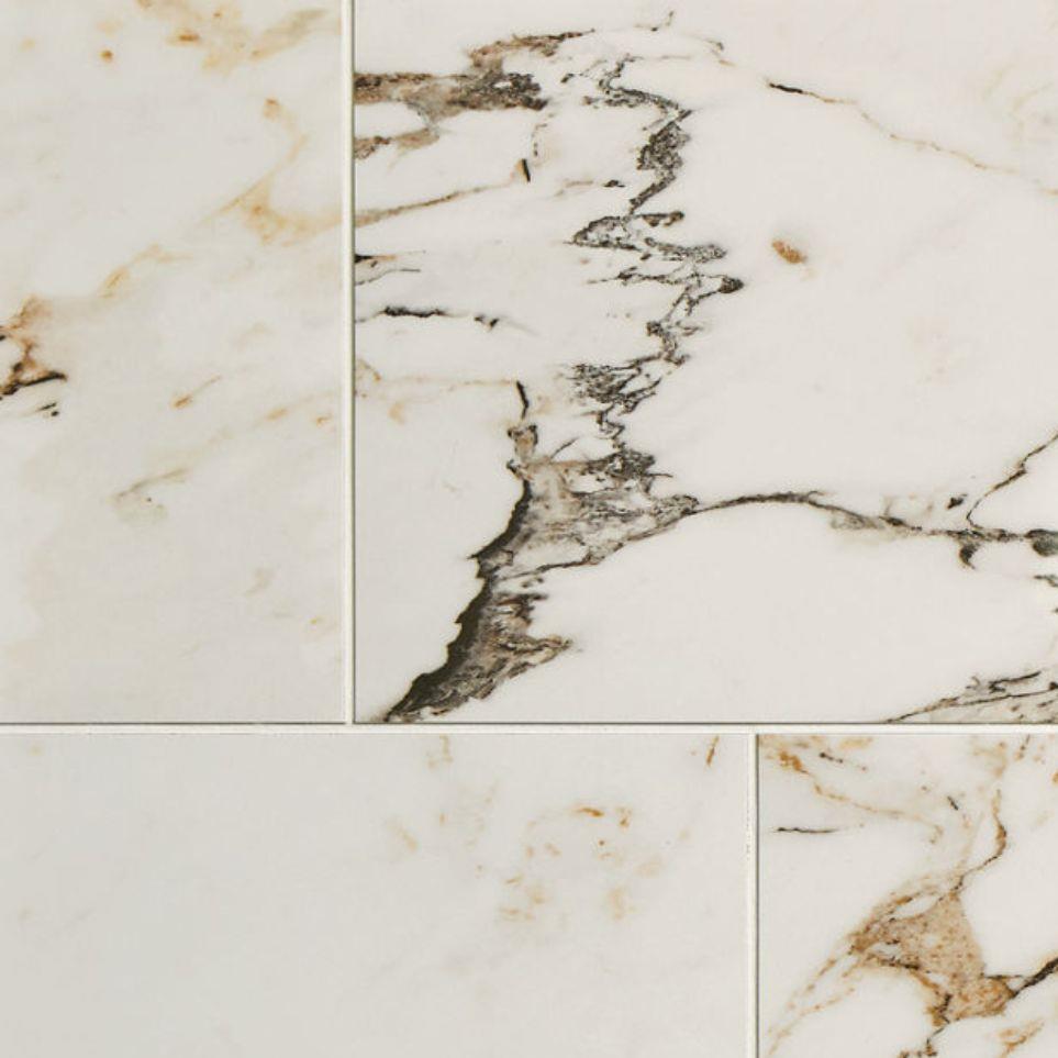 Calacatta Aries Polished Zoomed Swatch