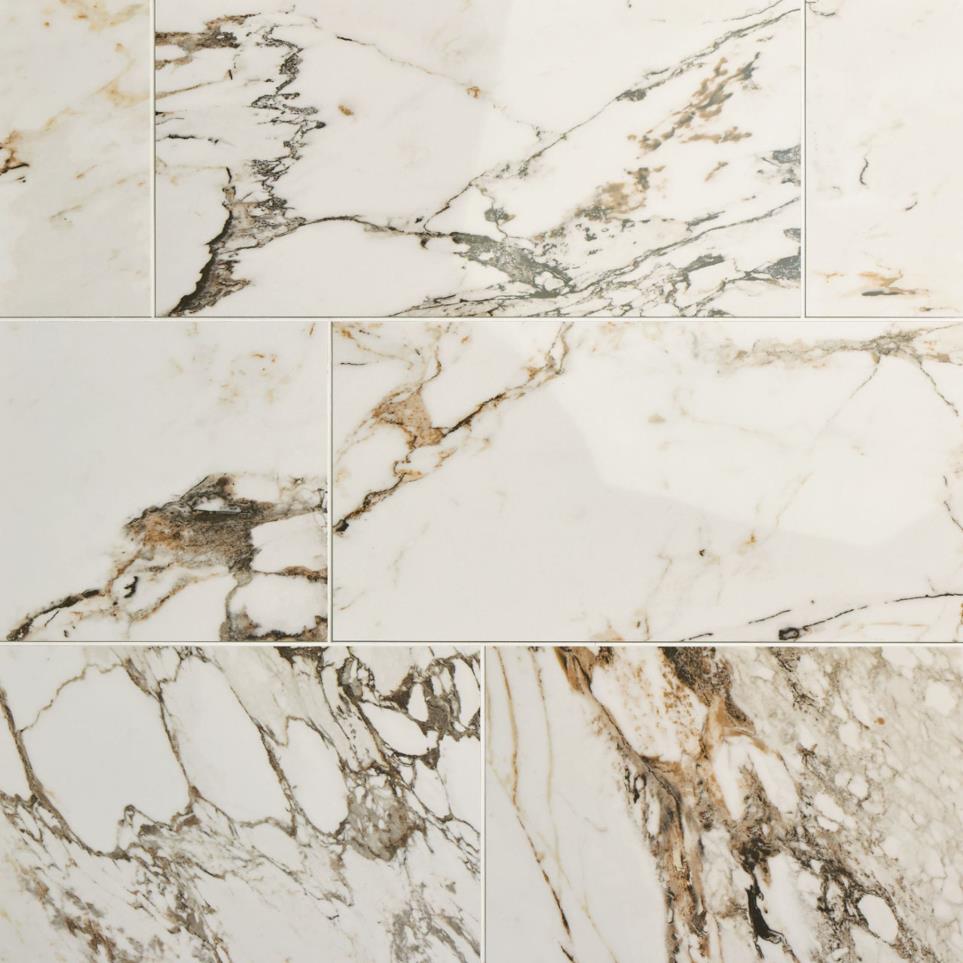 Panoramic Duet Rectangle 12X24 Pl