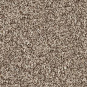 Cougar Zoomed Swatch