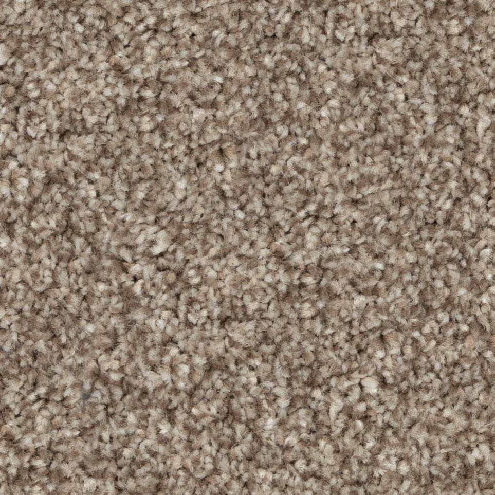 Cougar Zoomed Swatch