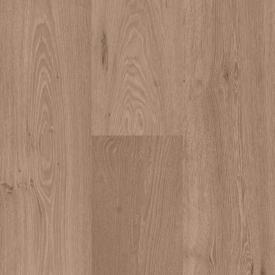Umber Swatch