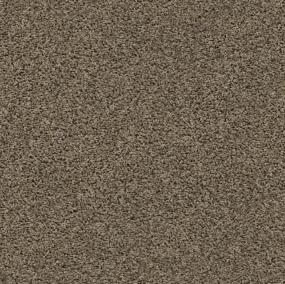 Del Morro - Denali Swatch