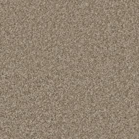 Desert Khaki Zoomed Swatch
