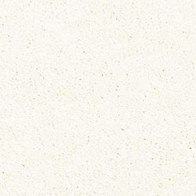 Oyster Swatch