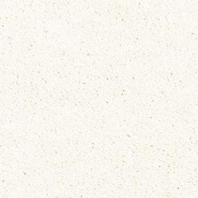 Oyster Zoomed Swatch