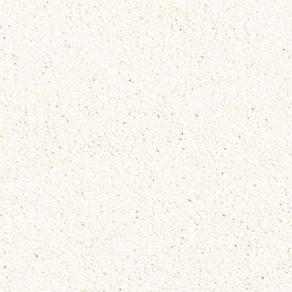 Oyster Zoomed Swatch