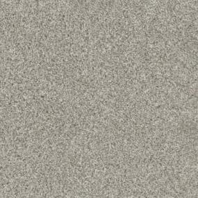 Trendsetter II - Acadia Swatch