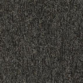 Company Zoomed Swatch