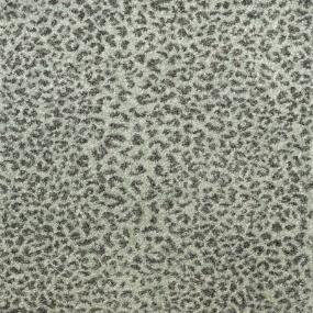Ceremony - Etosha Swatch