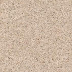 Shadywood Swatch Thumbnail
