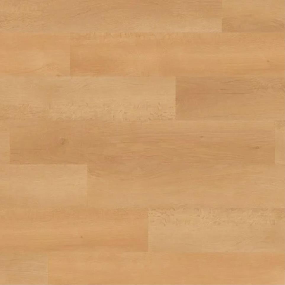 Palleo Swatch