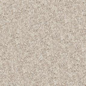 Akita - Pet Swatch