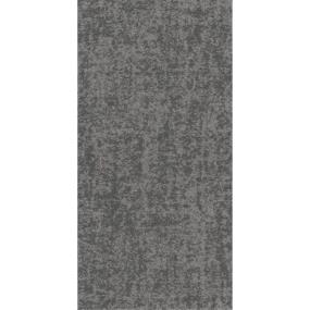 Santeen TL - Nickel Swatch