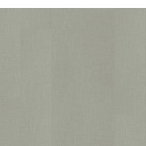 Zinc Zoomed Swatch
