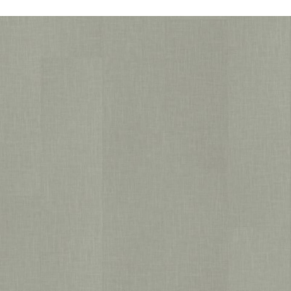 Zinc Zoomed Swatch