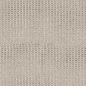 Parchment Swatch