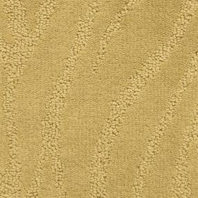 Cape Town - South Africa Swatch