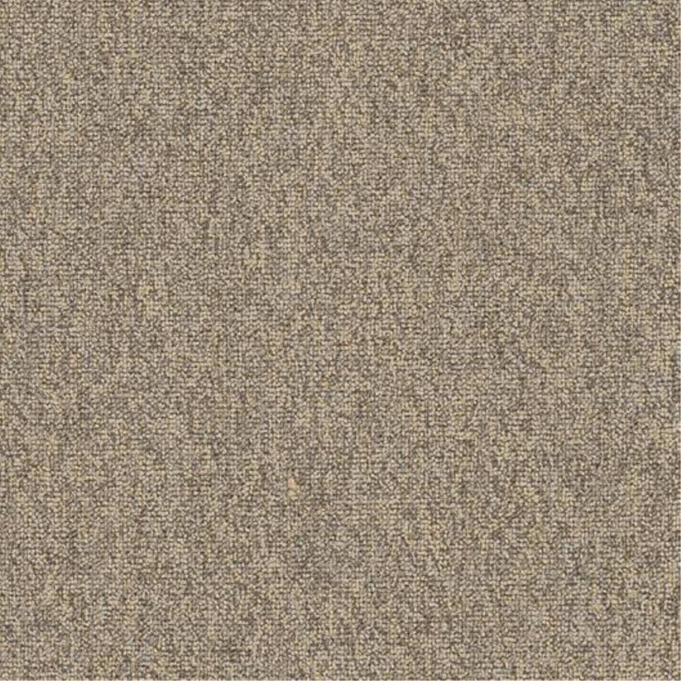 Magnetize Swatch