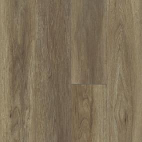 Abundant 7 - Grove Walnut Swatch