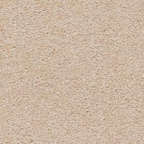 Somerset Bay - Shadywood Swatch