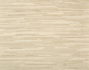 Acceleration - Sand Swatch