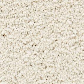Artisan Delight - Atrium Swatch