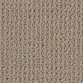 Graceful Transition - Coachman Swatch