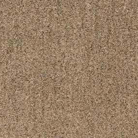 Monterey - Walking Trail Swatch