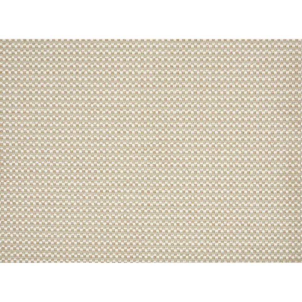 Oyster Swatch