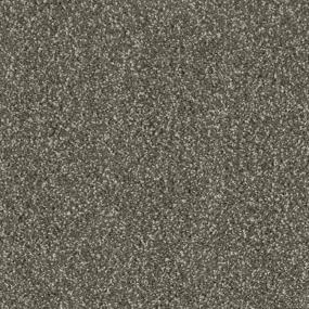 Ranger Zoomed Swatch