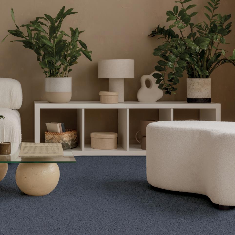 Room Scene